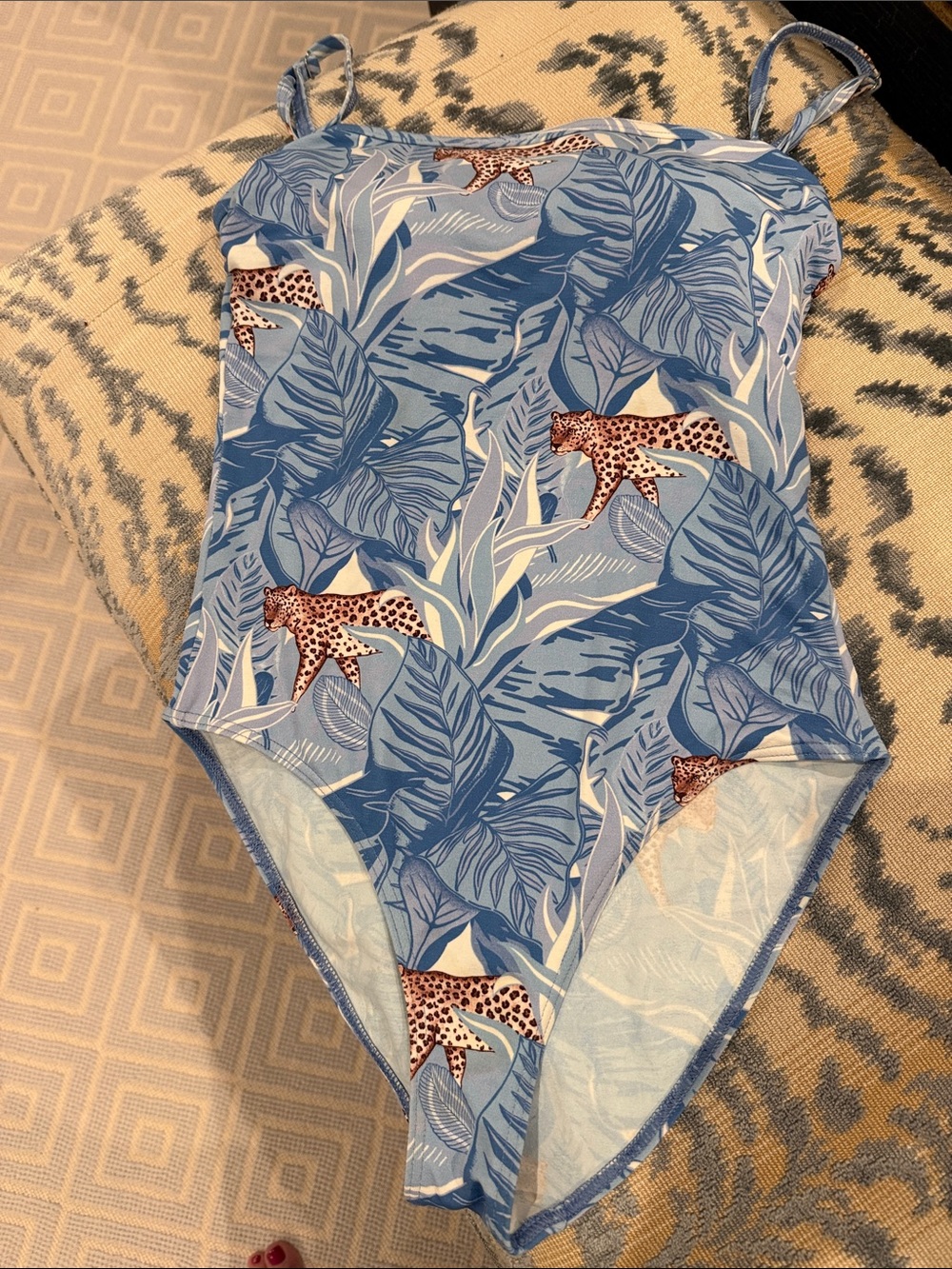 Manuel Canovas bathing suit